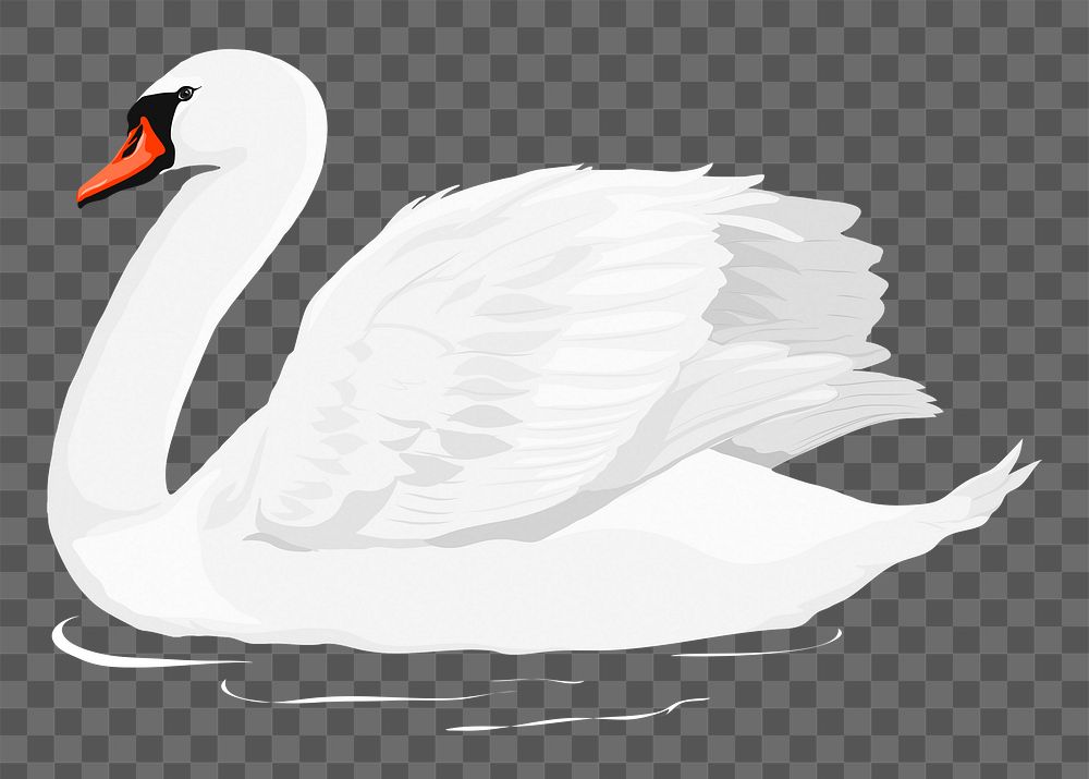 PNG white swan sticker, bird illustration, transparent background
