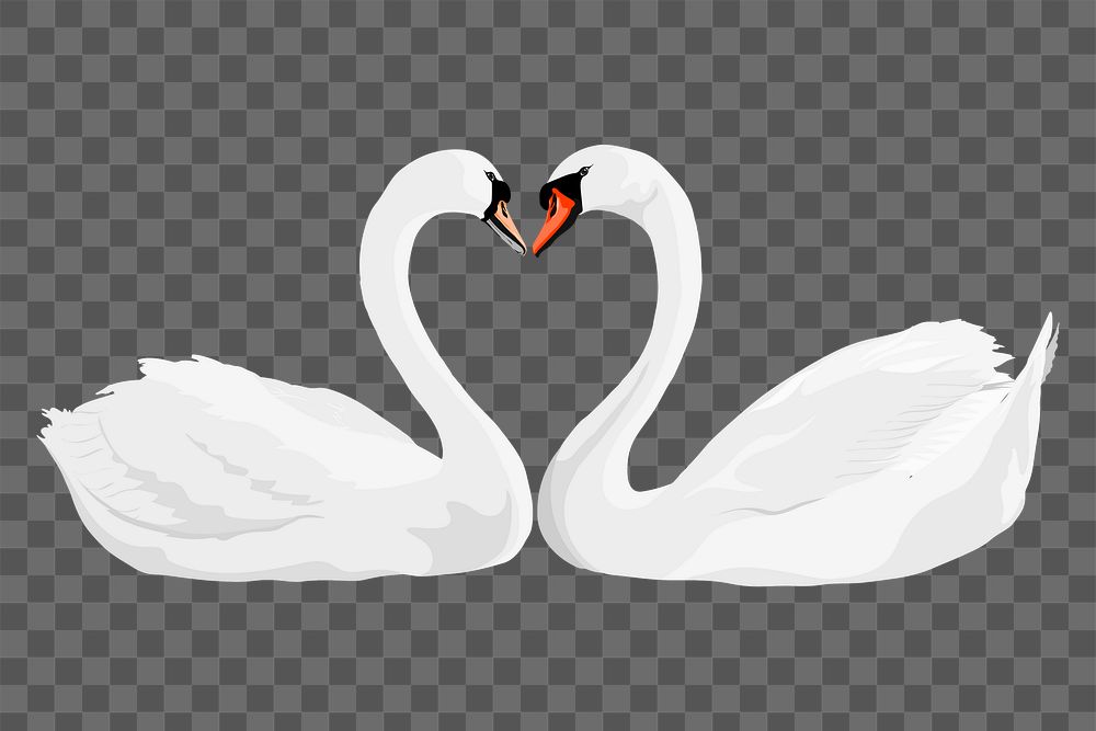 PNG swan love sticker, valentines day, heart illustration, transparent background