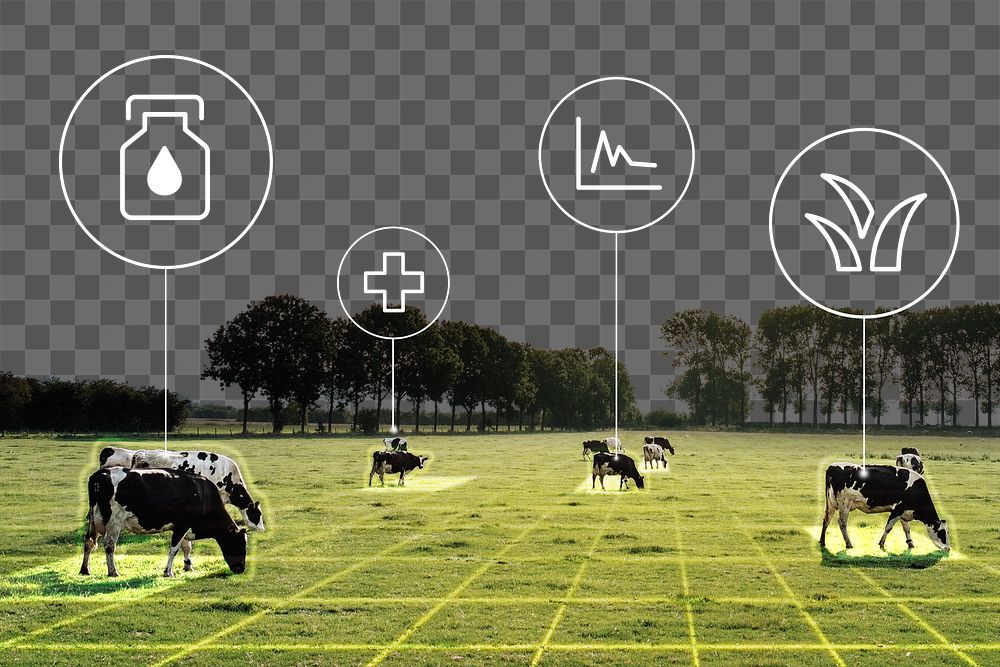 Smart farming png border, cattle infographic, transparent background
