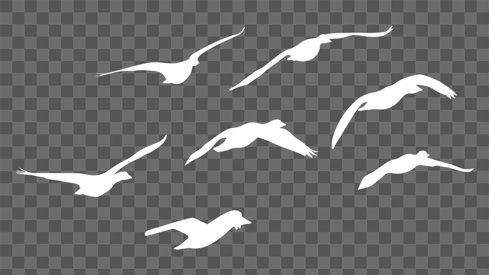 Flying birds png silhouette sticker, animal in white on transparent background