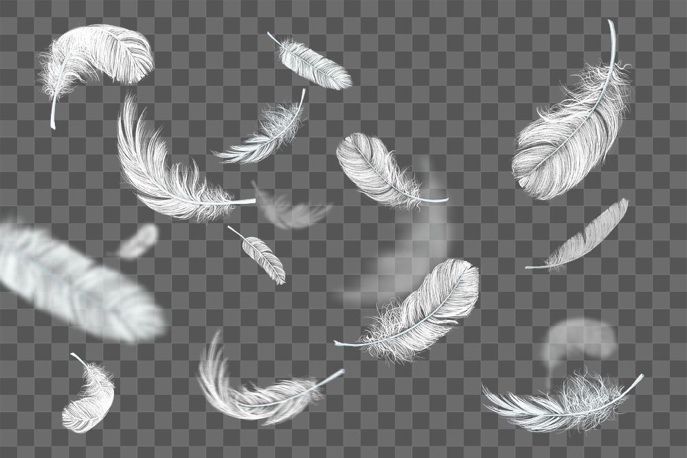 Feathers png background, transparent design 