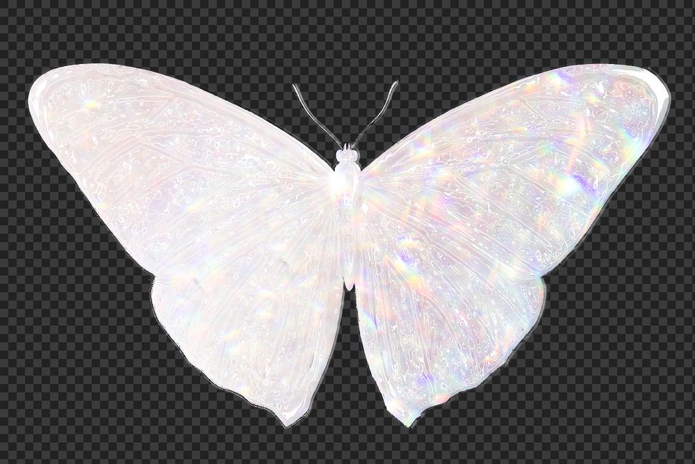 Silvery holographic butterfly design element