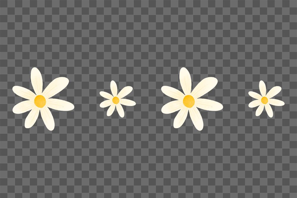 Daisy border png sticker, cute flower clipart