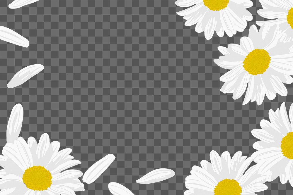 White daisy png border frame, transparent background