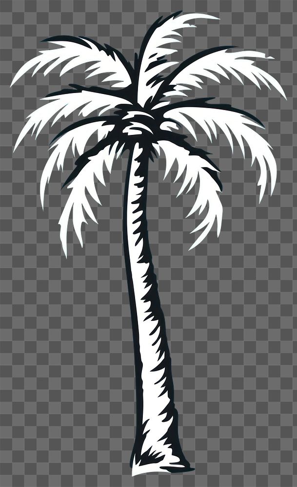 PNG Coconut tree arecaceae outdoors animal.