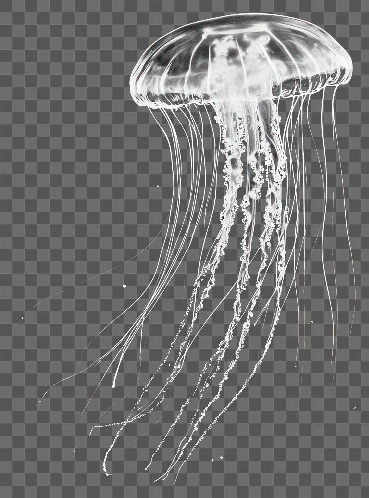 PNG A jellyfish made of strings and threads background black bioluminescent.