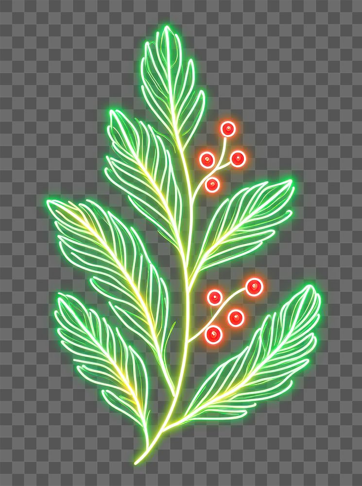 PNG Green pine leaves lights neon christmas.