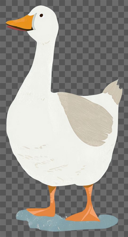 PNG  Cute goose illustration animal bird duck.