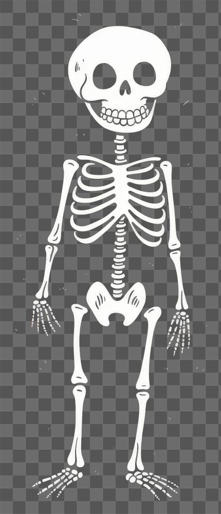 PNG Skeleton representation creativity monochrome.