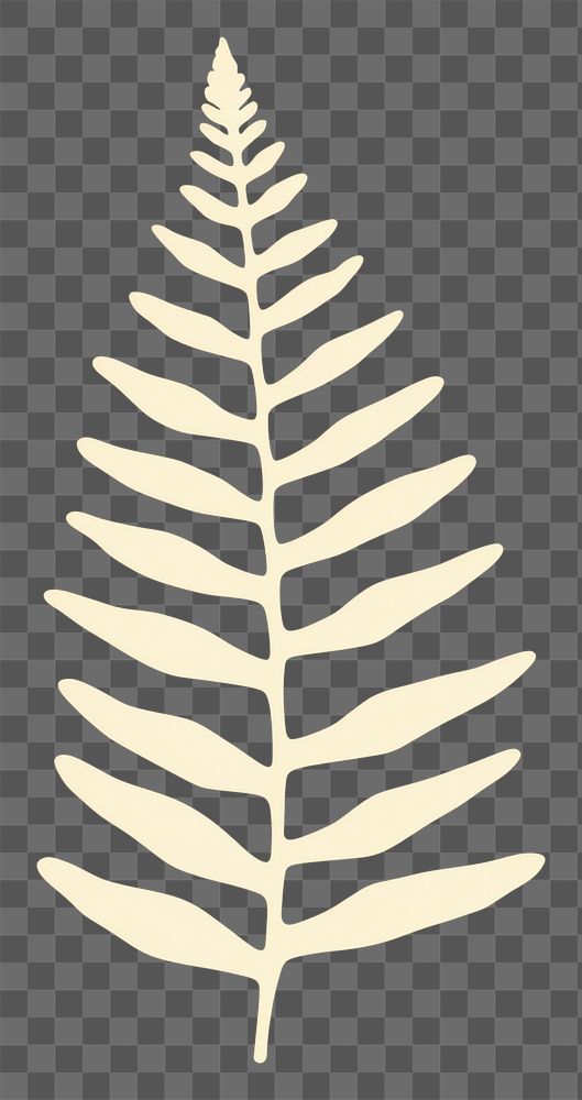 PNG  Illustration of a simple fern leaf plant astragalus pattern.
