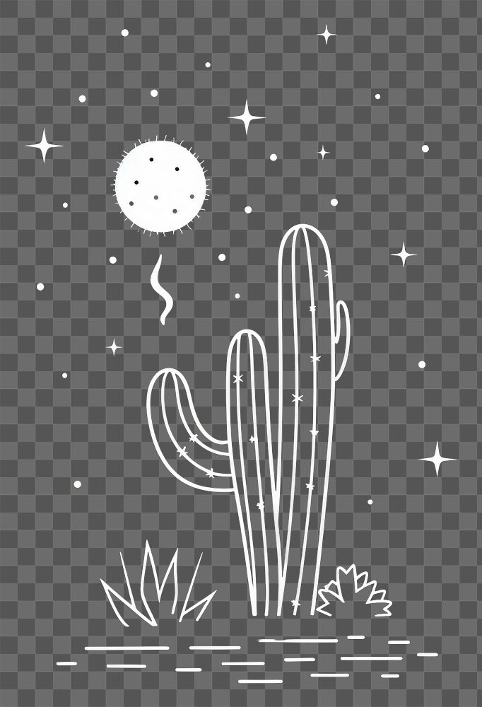 PNG Cactus drawing sketch night.