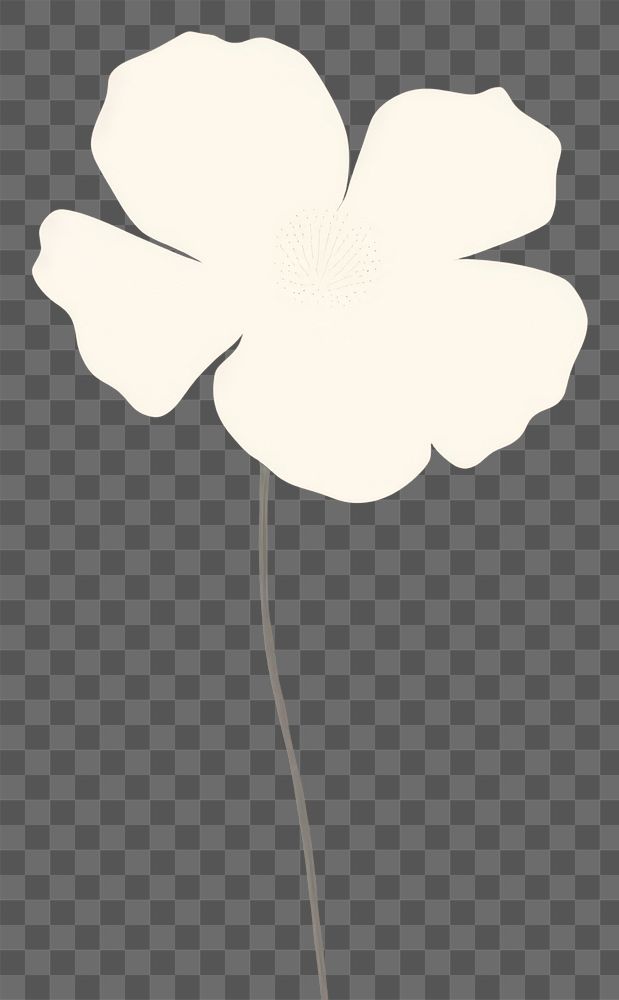 PNG  Illustration of a flower petal plant inflorescence.