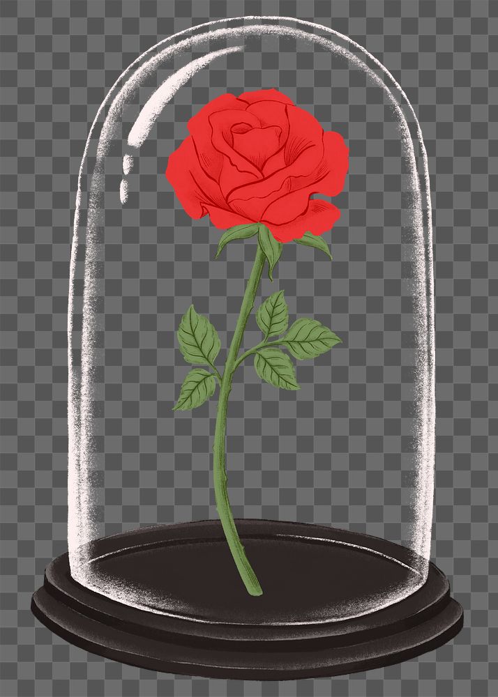 Valentine's gift png red rose in glass cloche sticker, transparent background