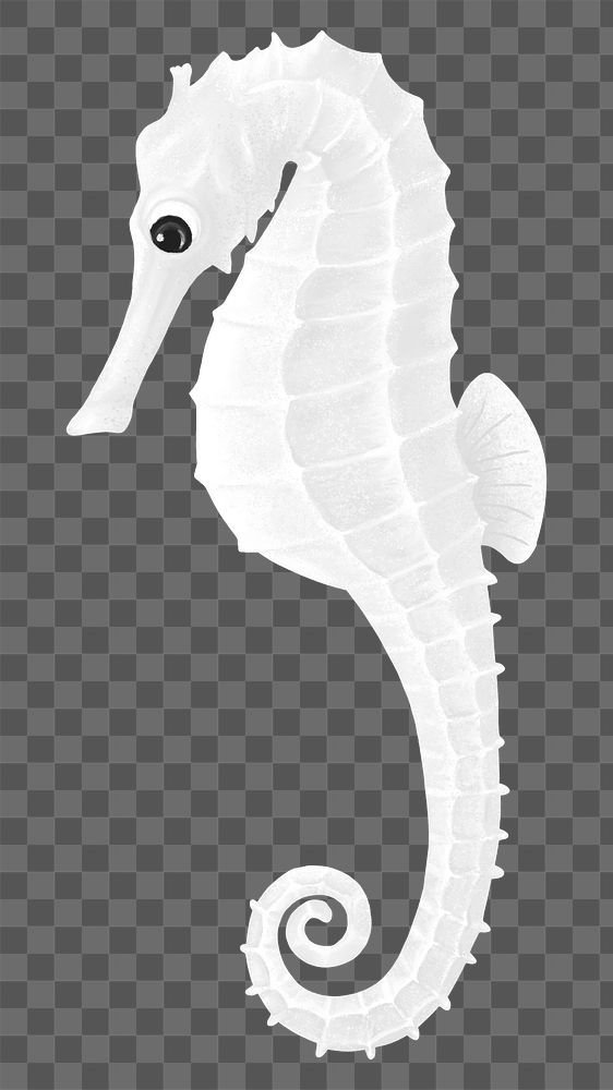 Cute seahorse png sticker, animal illustration, transparent background