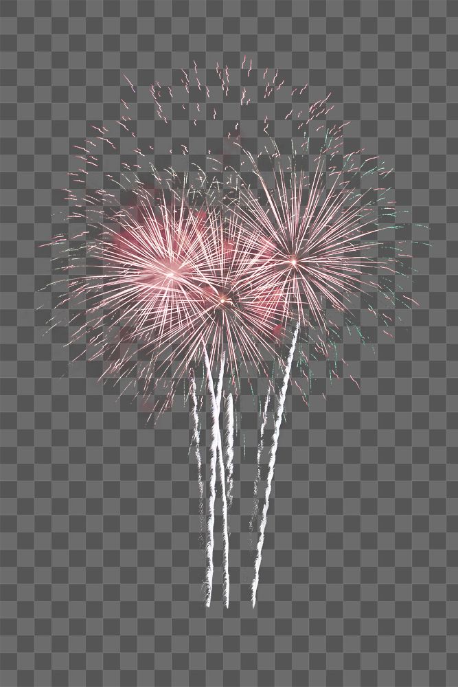 Firework celebration png, transparent background