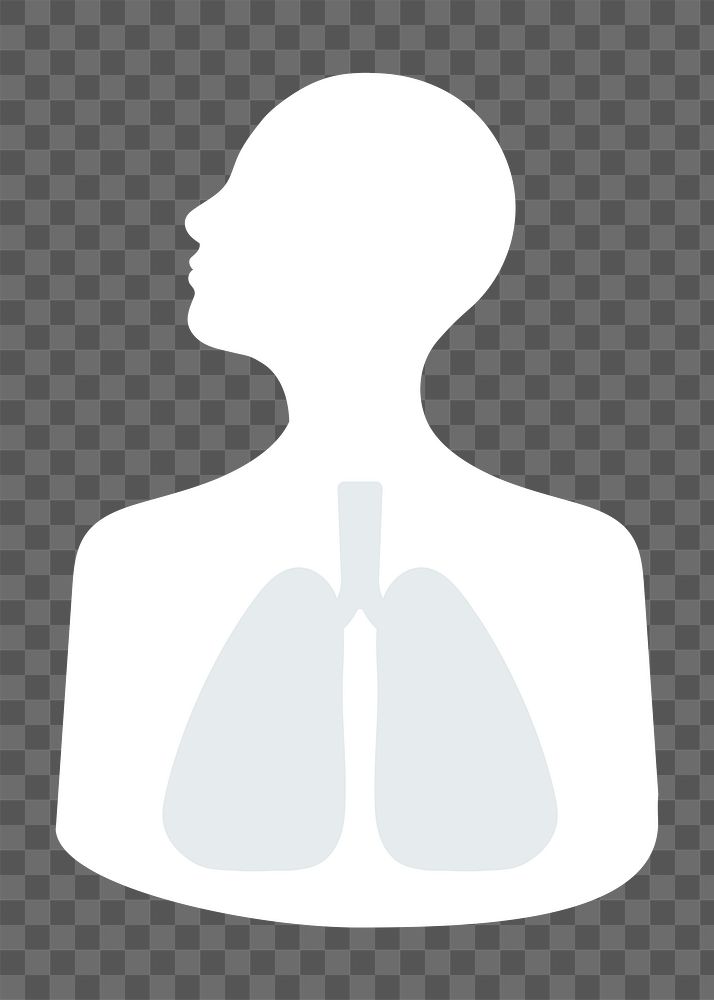 Human lungs png sticker, health graphic transparent background