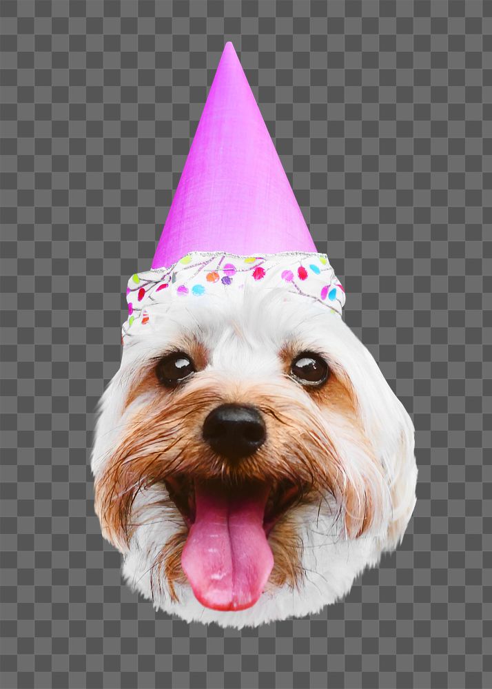 Party dog png collage element, transparent background
