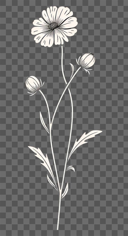 PNG Tiny cute flower illustration drawing sketch daisy. AI generated Image by rawpixel.