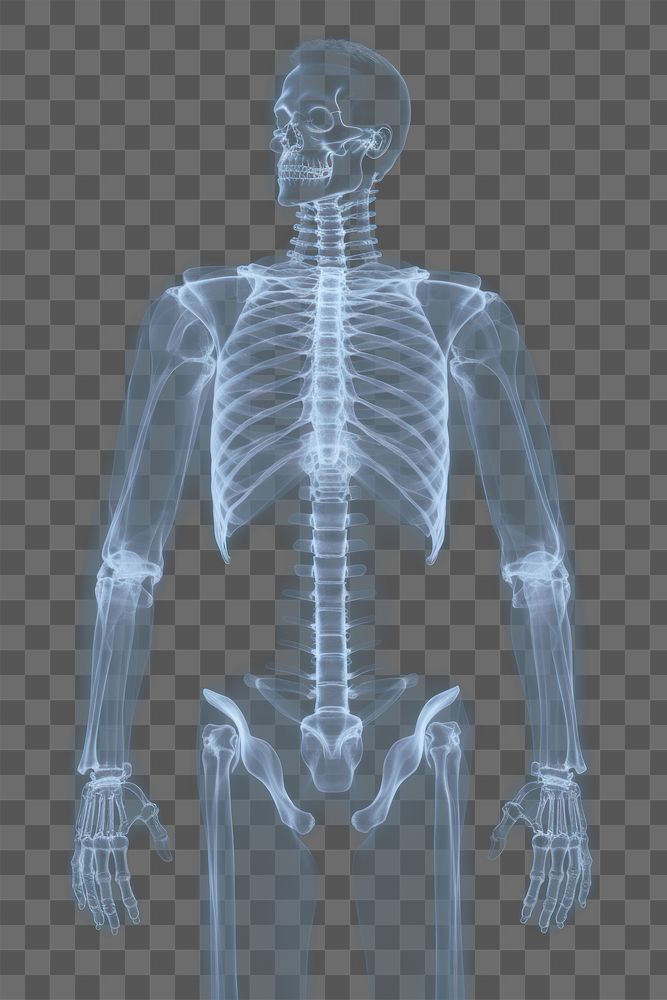 PNG Human body x-ray radiography futuristic. AI generated Image by rawpixel.