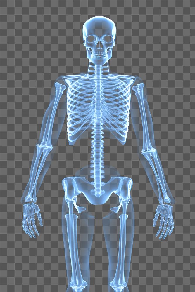 PNG Human skeleton x-ray radiography fracture. AI generated Image by rawpixel.