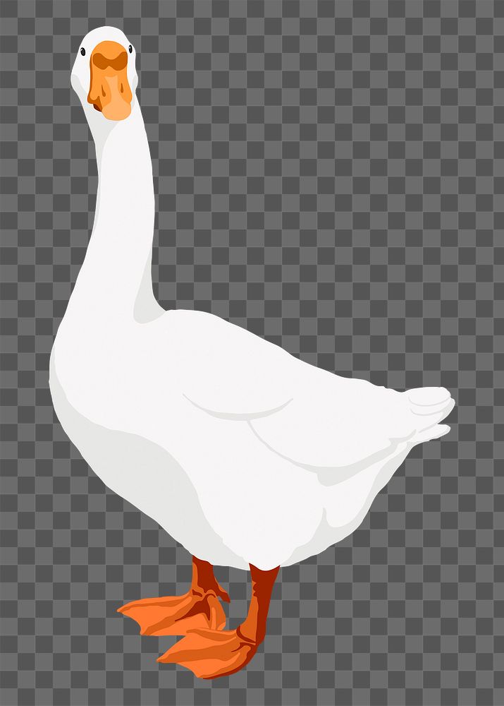 White goose illustration, animal clipart sticker, transparent background