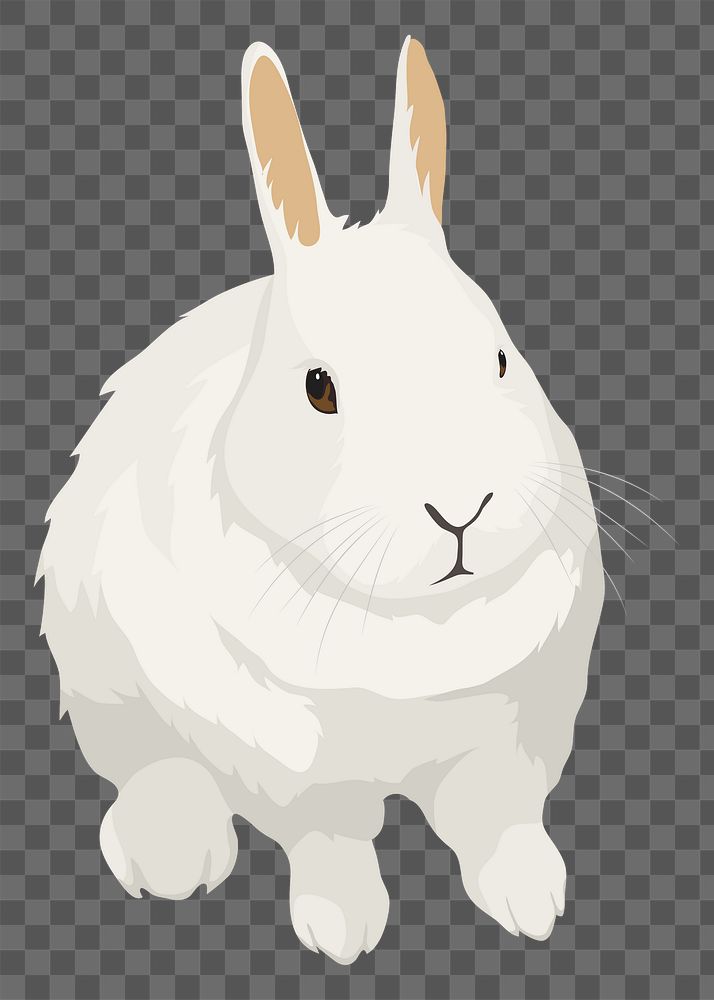 Pet png bunny, cute animal sticker, transparent background