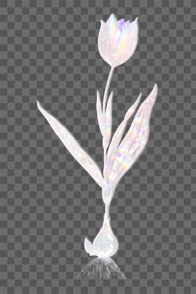 Silvery holographic tulip design element