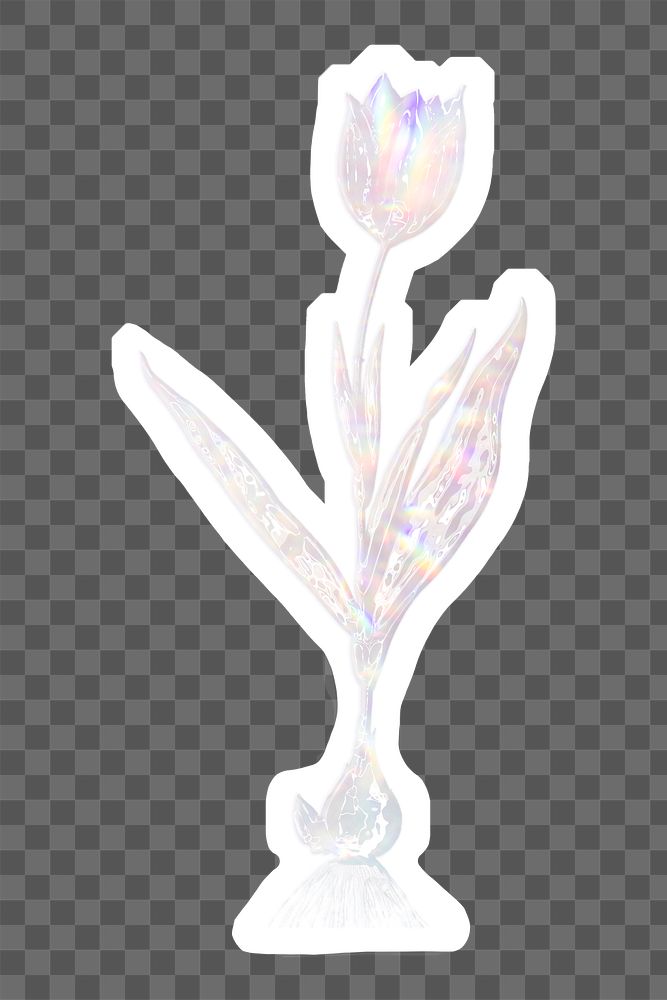 Silvery holographic tulip sticker with a white border
