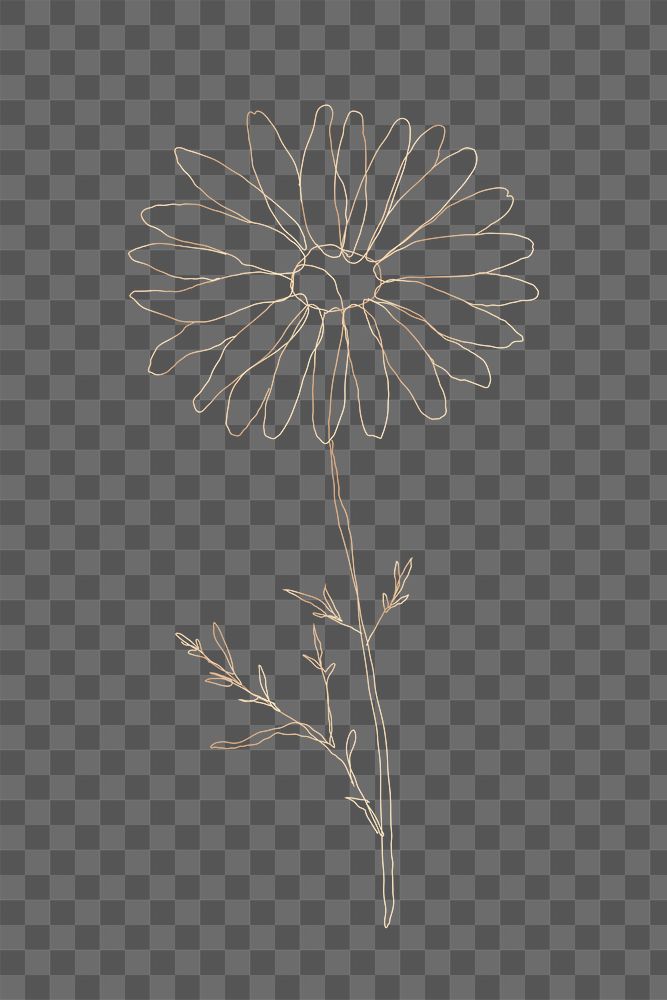 Png flower daisy monoline art