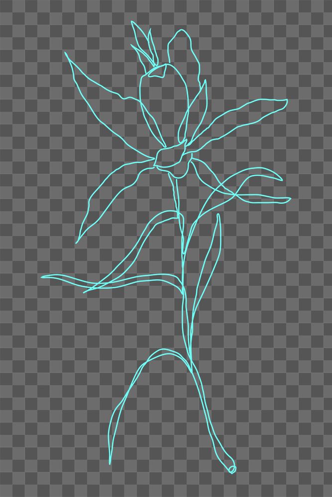Flower png hand drawn clipart in blue