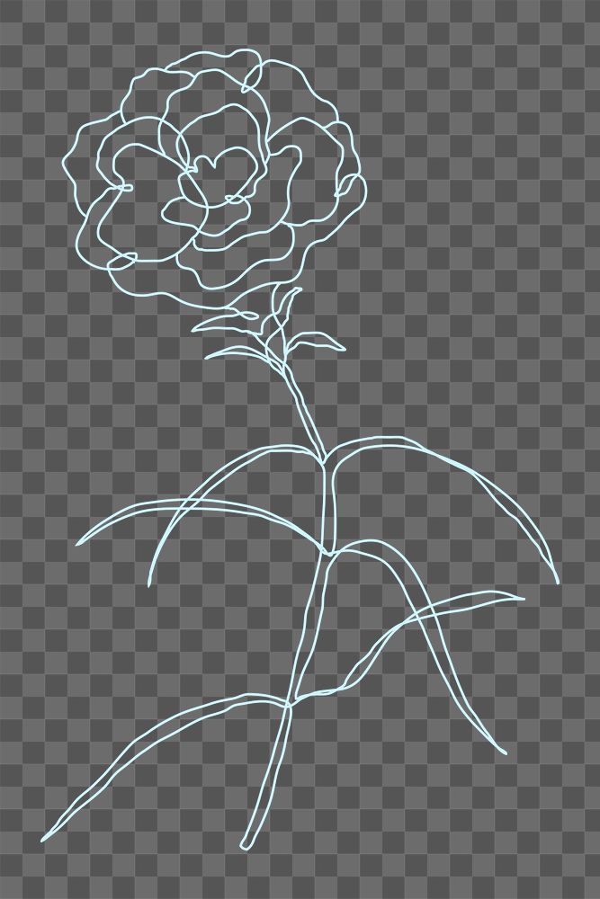 Png rose flower line drawing