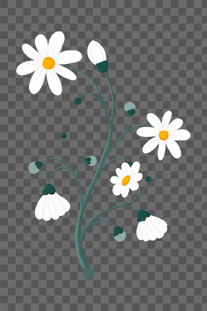 Daisy flower png sticker, aesthetic feminine illustration