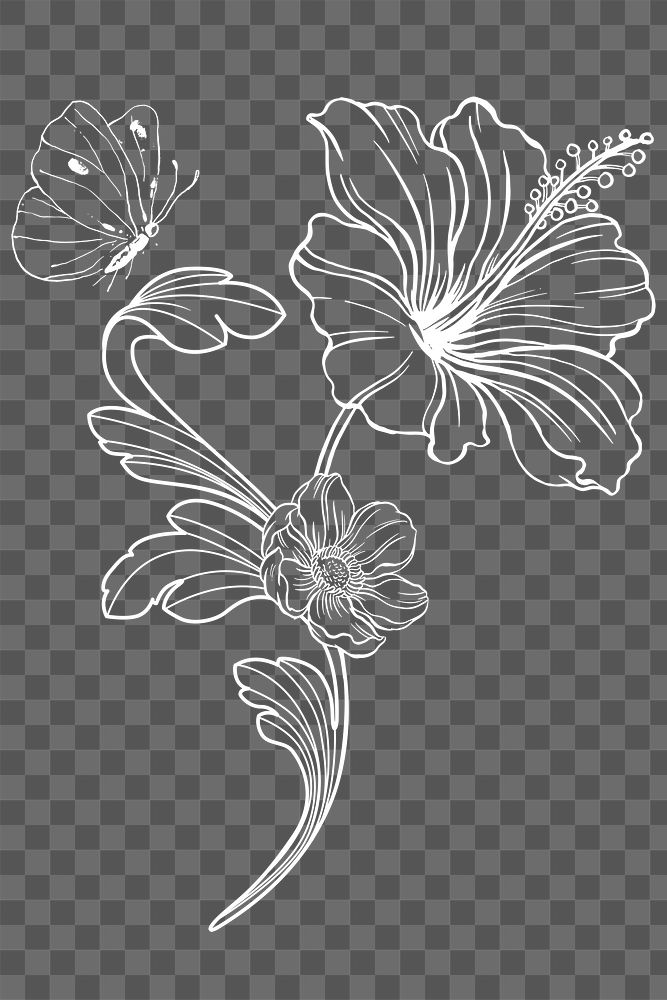 Hibiscus flower png clipart, aesthetic illustration, transparent background