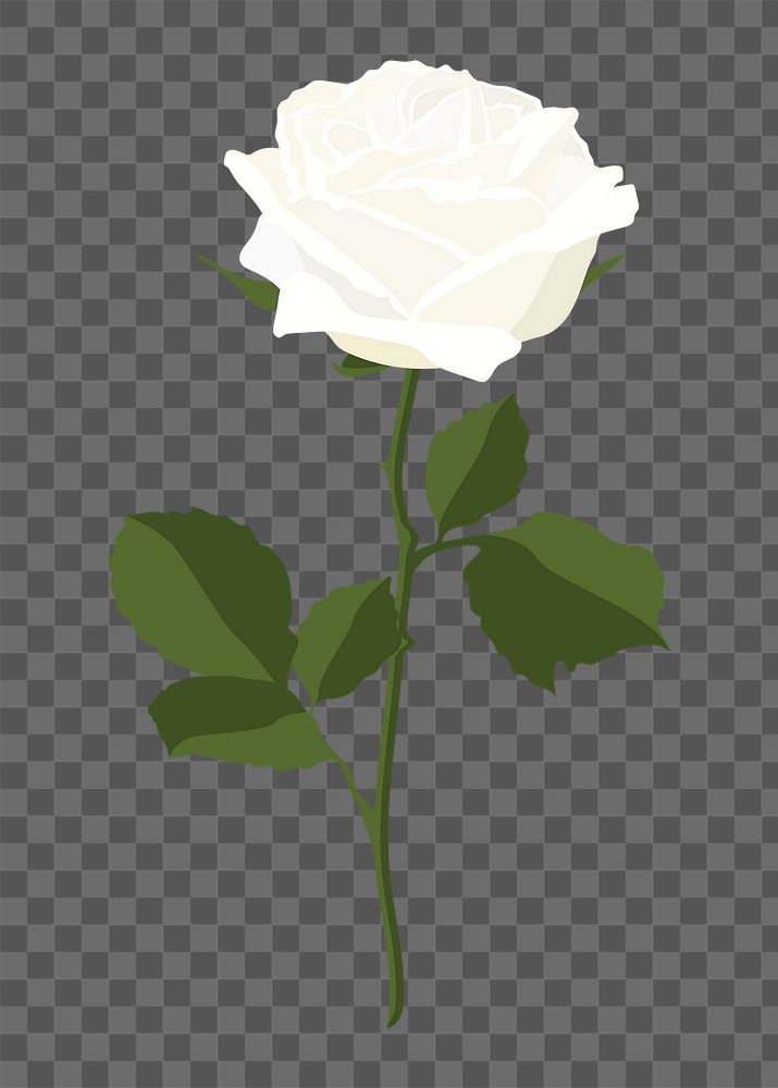 Realistic rose png sticker, white flower illustration