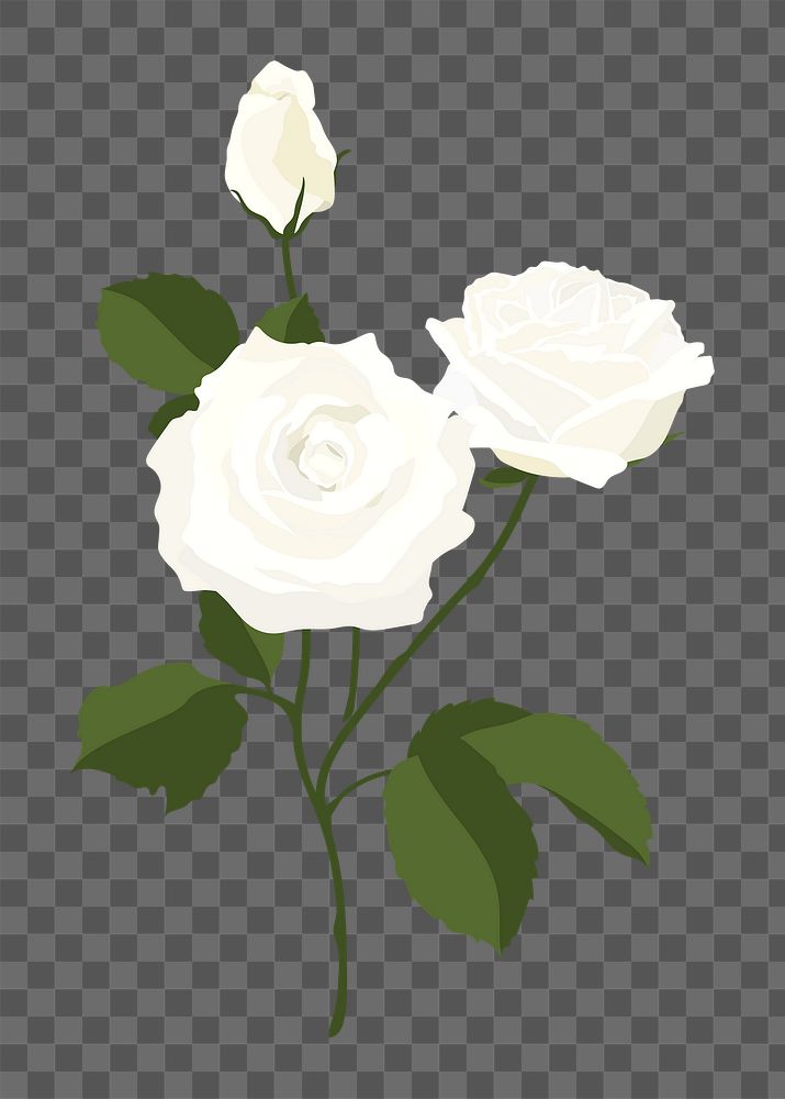 Realistic rose png sticker, white flower illustration