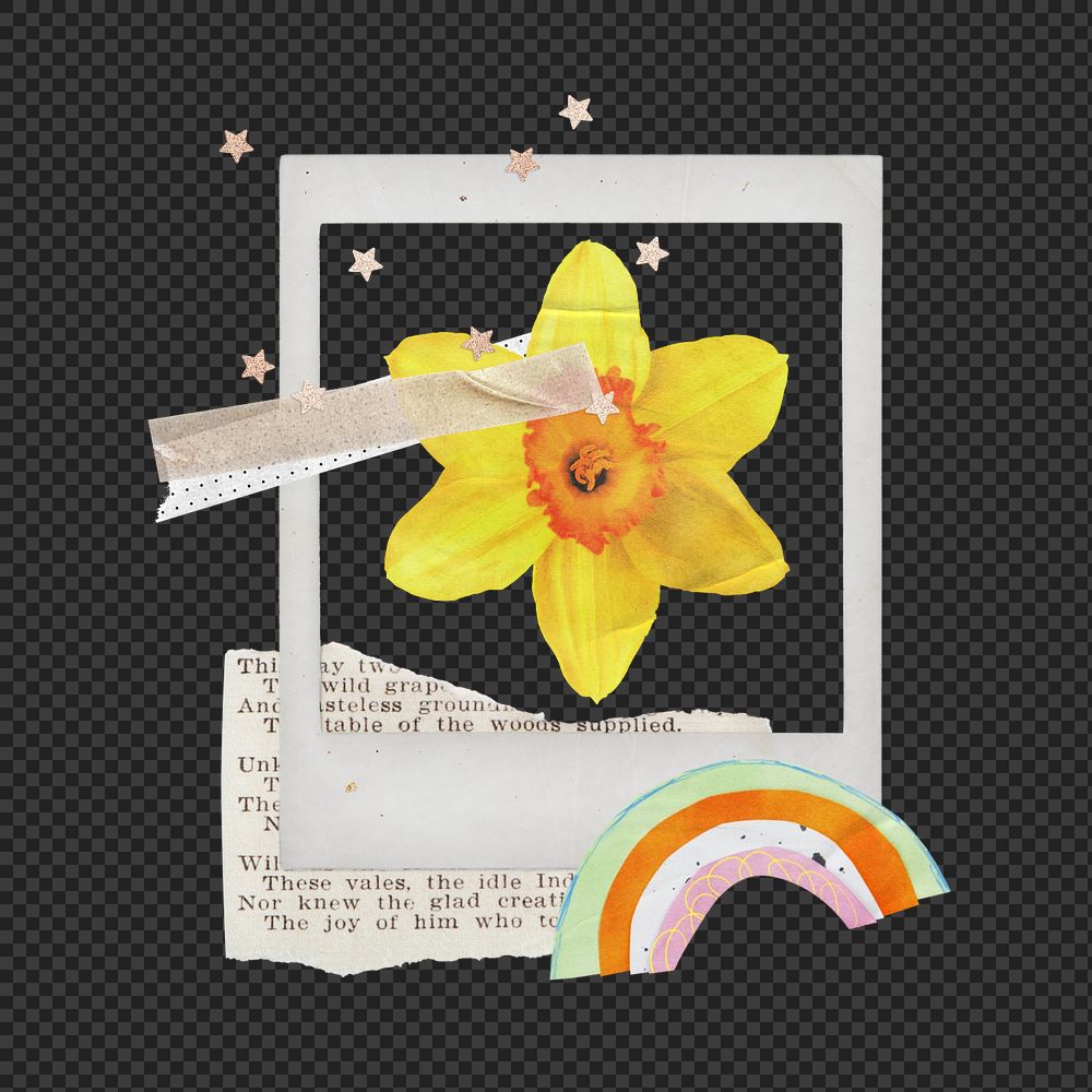 Editable Spring instant picture frame sticker, daffodil collage element remix design