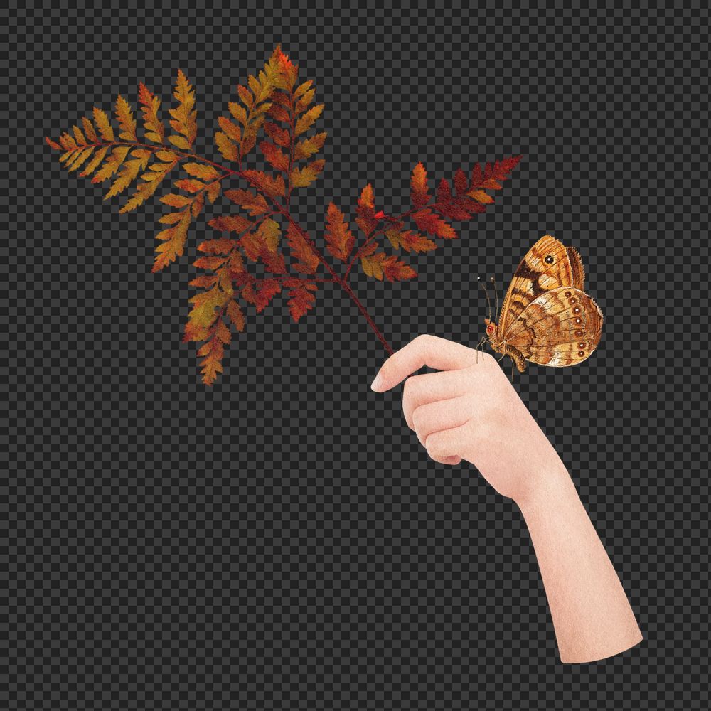 Autumn leaf element, editable foliage design