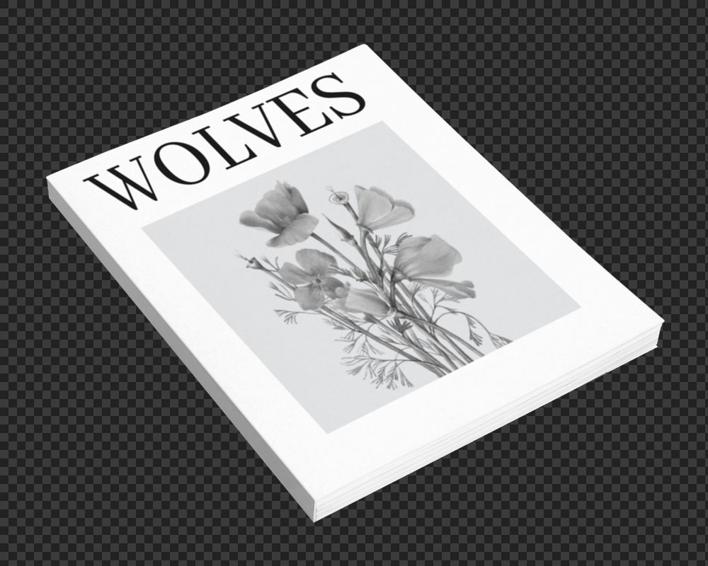 Magazine book cover editable mockup element