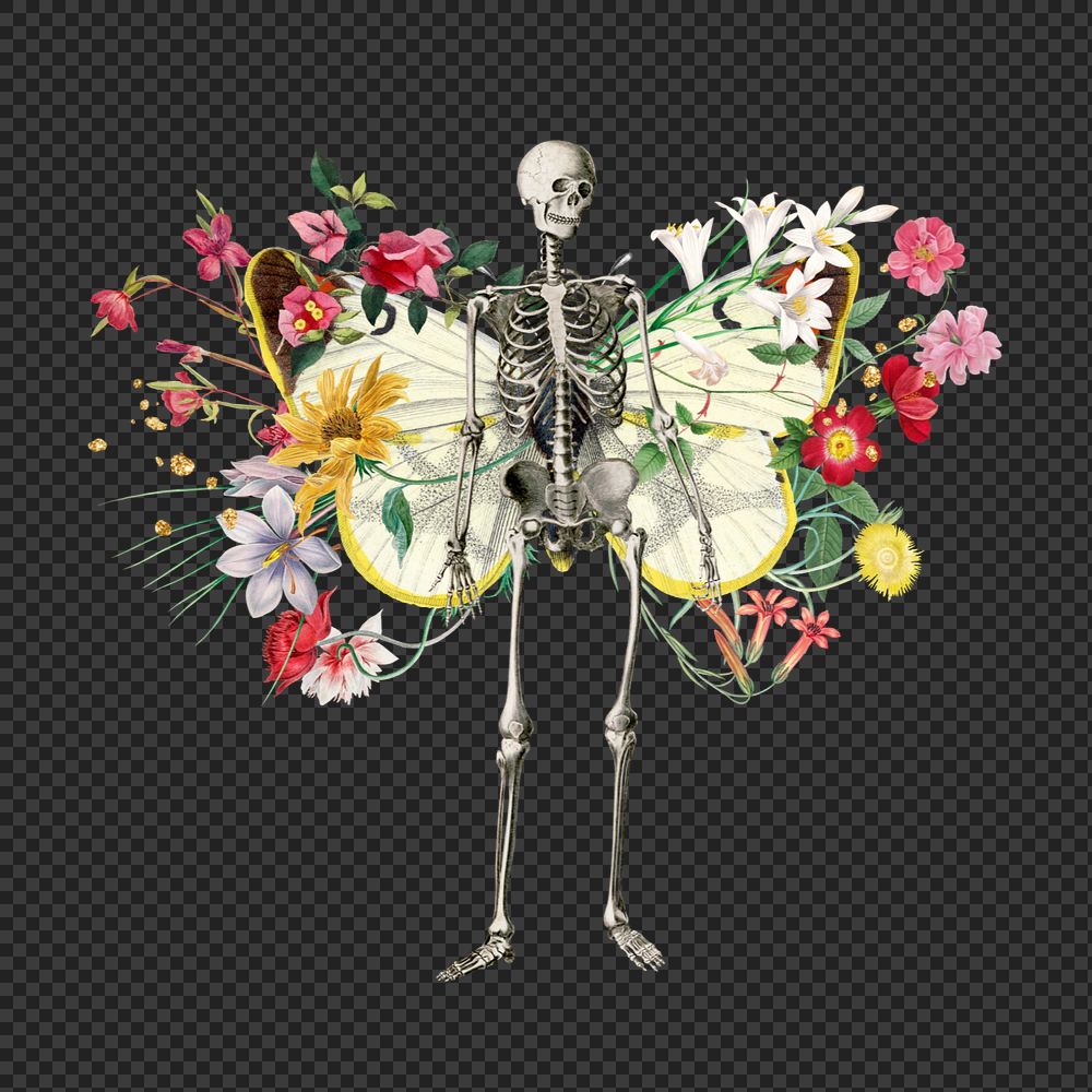 Floral skeleton png sticker, mixed media editable design