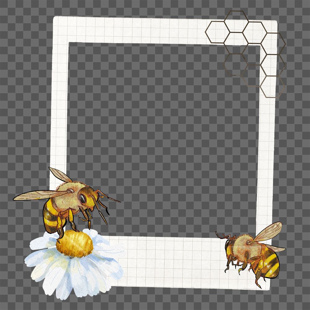 Bees and flower instant film frame png, creative remix, editable design