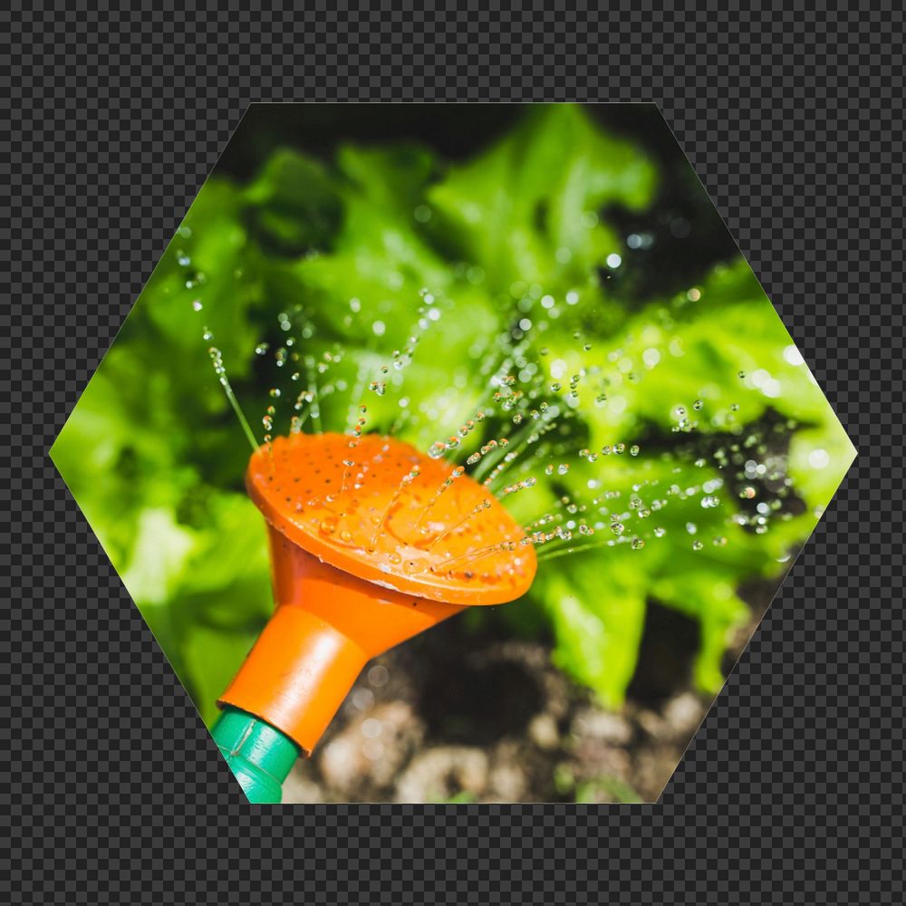 Watering vegetables png hexagonal sticker, transparent background