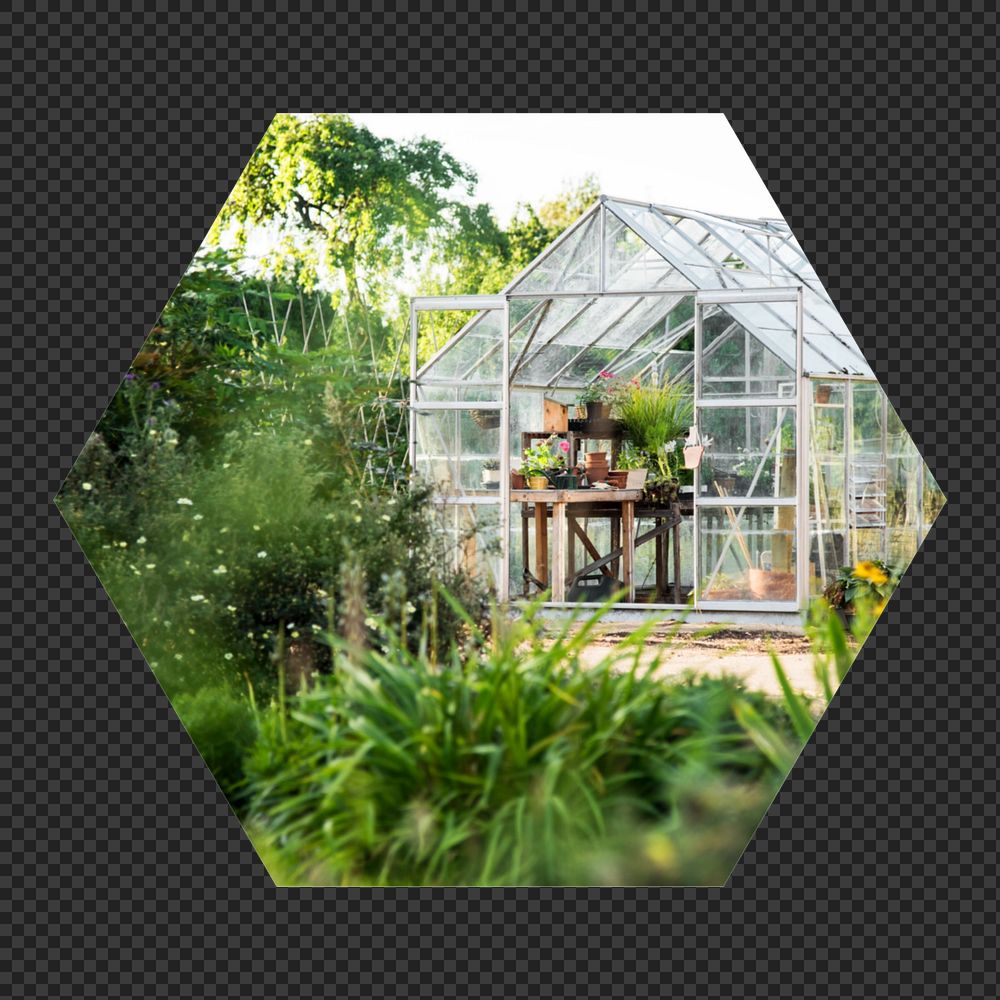 Glass greenhouse  png hexagonal  sticker, transparent background