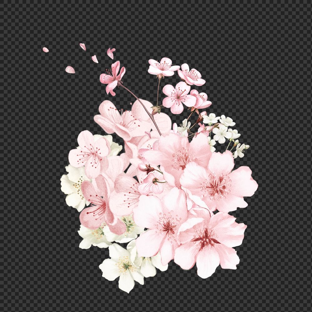 Japanese cherry blossom png flower, botanical illustration, editable design