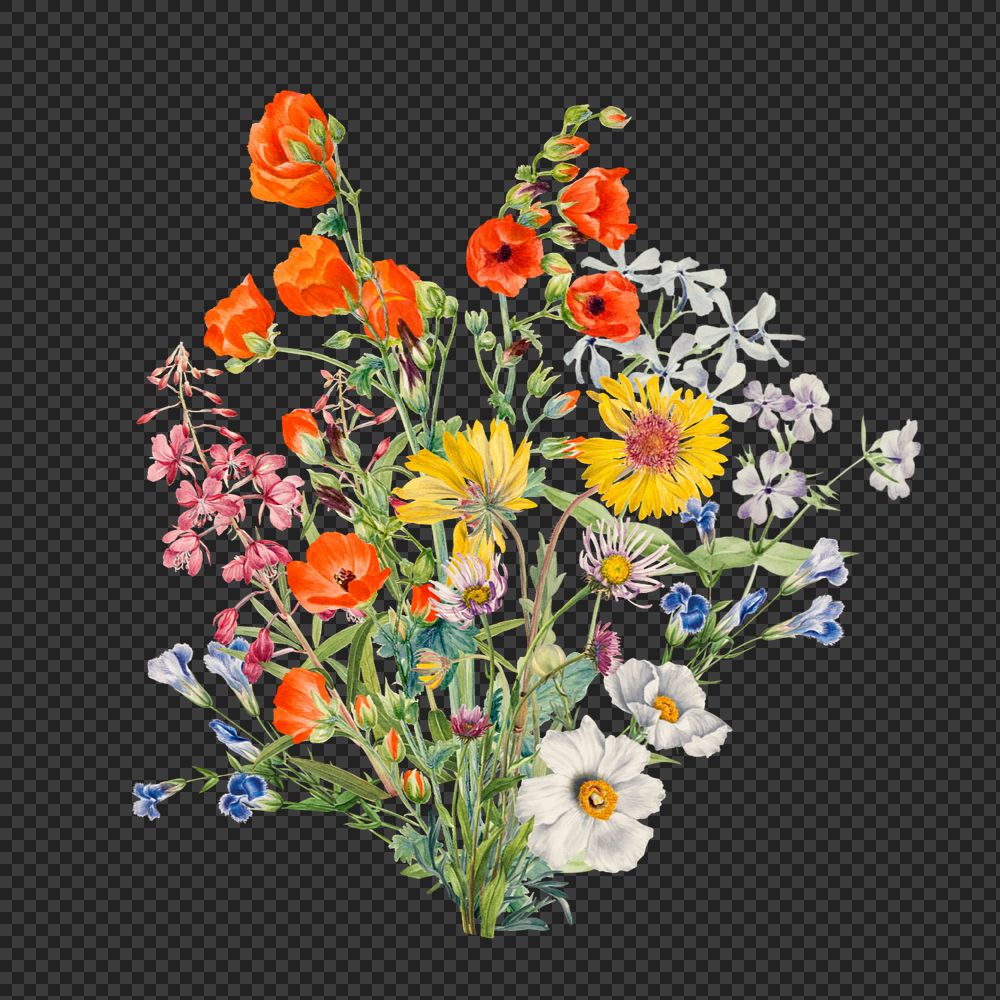 Colorful wildflower bouquet png flower, botanical illustration, editable design