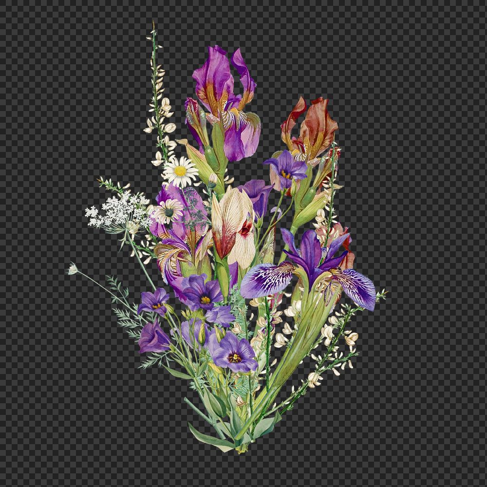 Purple iris bouquet png flower, botanical illustration, editable design