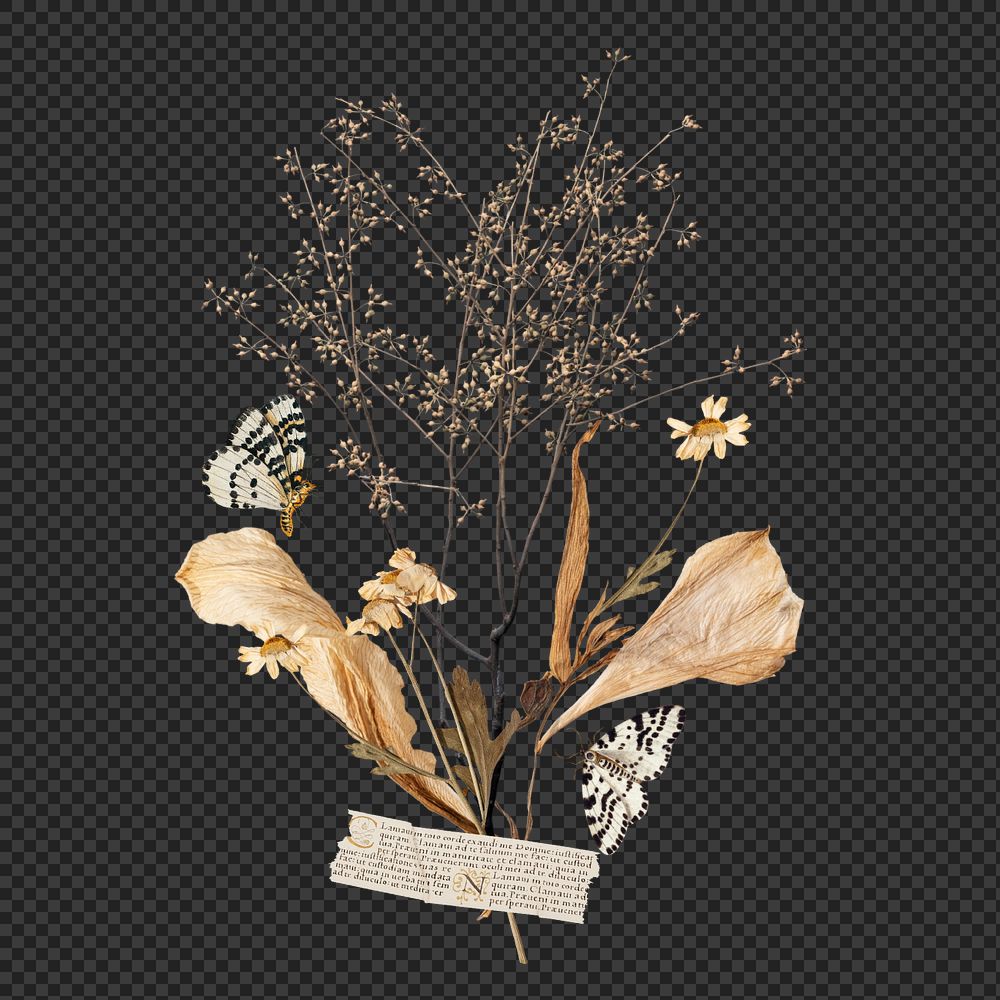 Autumn leaf branch png washi tape, journal collage element, editable design