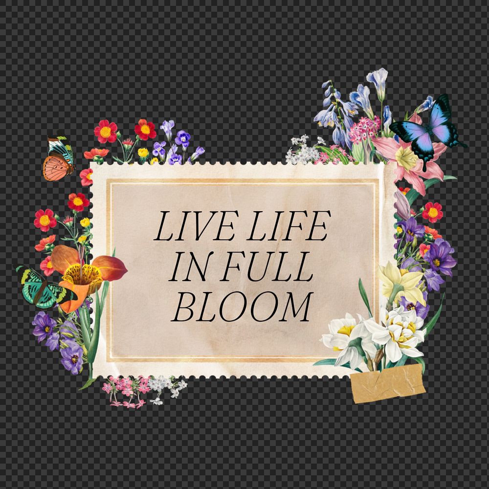 Live life in full bloom png quote, aesthetic flower collage art, editable design