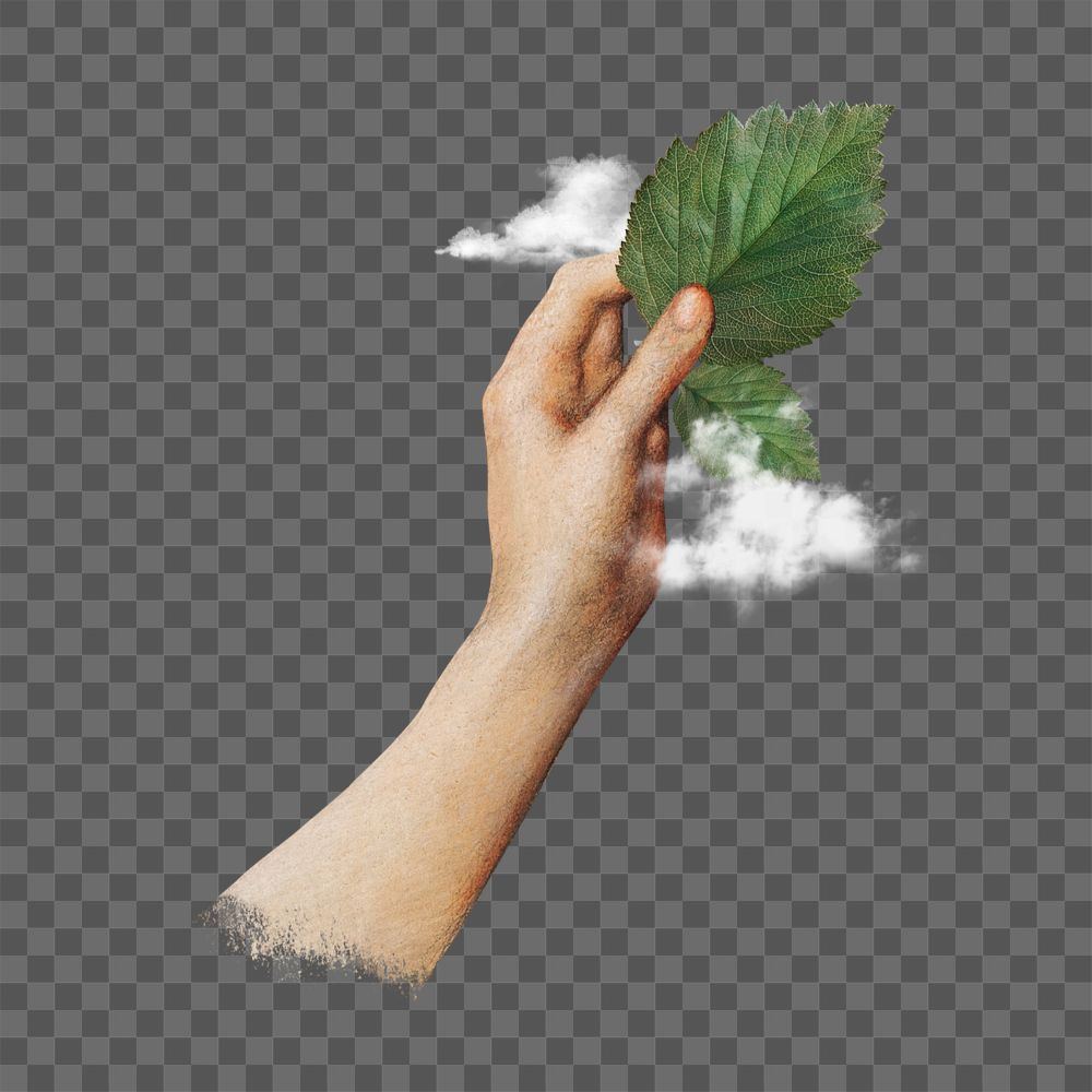 Hand holding leaf png, editable clean air collage. Remixed by rawpixel.