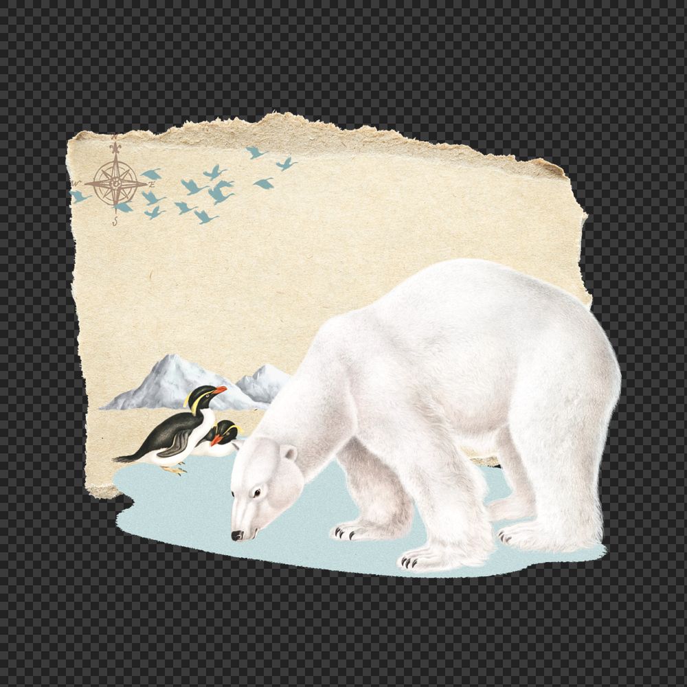 Polar bear png penguins, global warming editable collage art