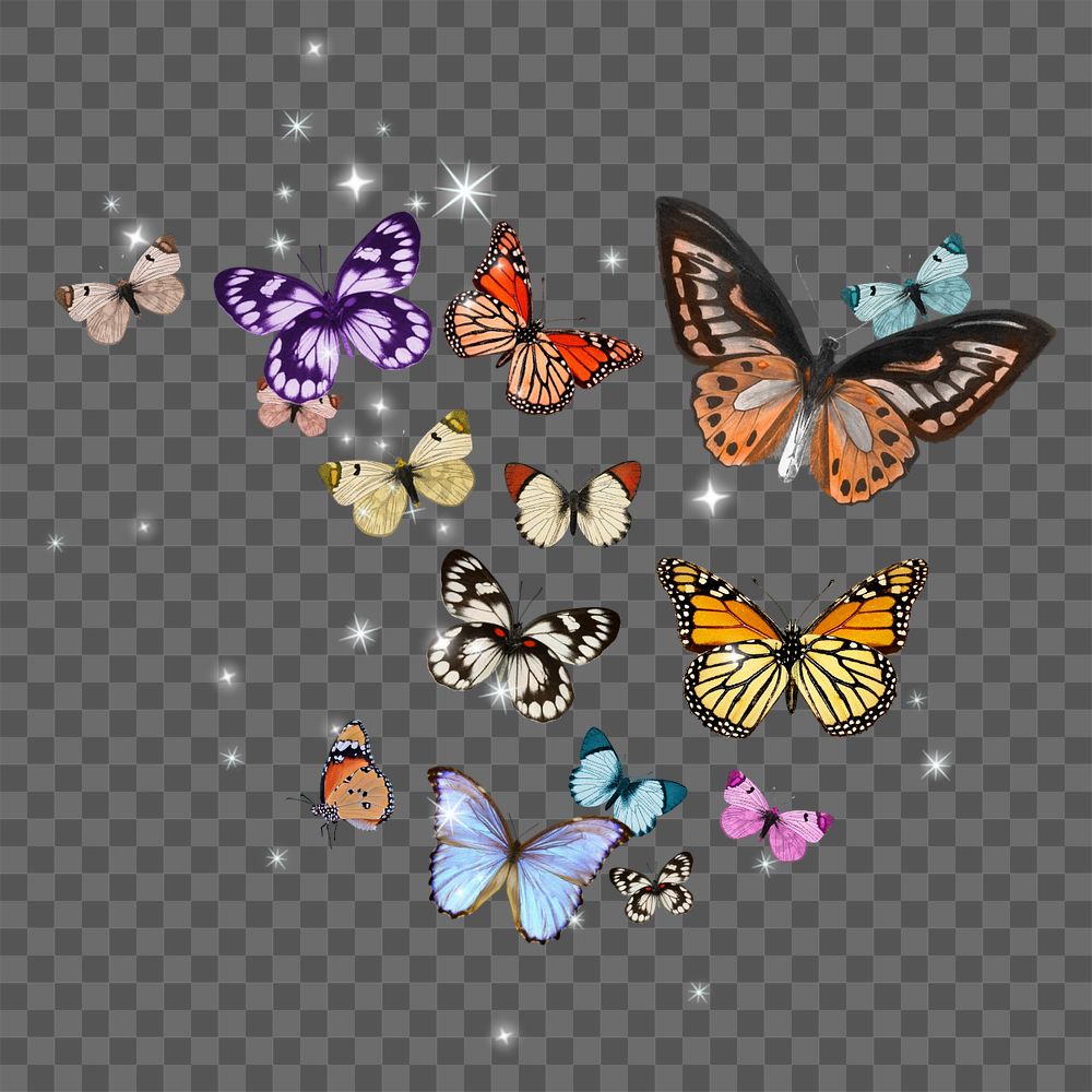 Sparkly colorful butterflies remix png, editable design